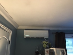 Ductless Mini - Blue Room.jpg