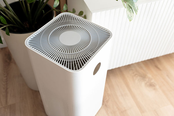 Indoor Air Purifier