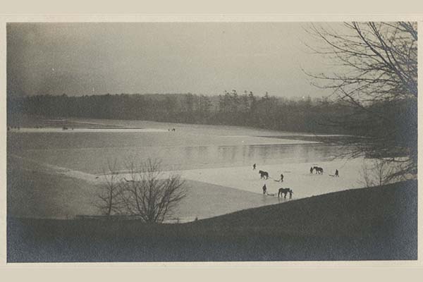 Lake Massasoit