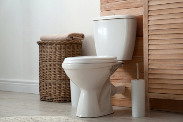 image of a toilet depicting Basic Mechanics of a Toilet